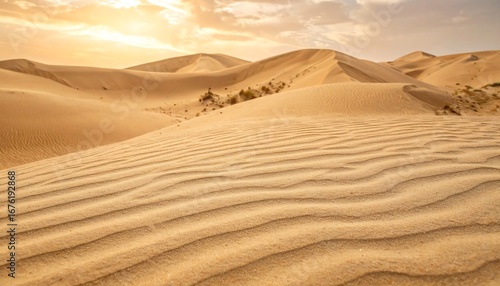 Rolling sand dunes under a warm, golden sky, showcasing the textures and patterns of the desert landscape.