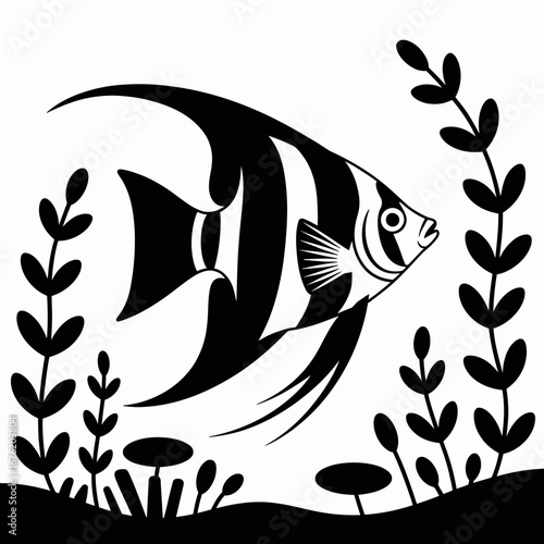 Black and white angelfish swimming among aquarium plants