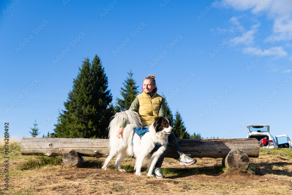 Obraz premium happy white dog playing with owner outdoors