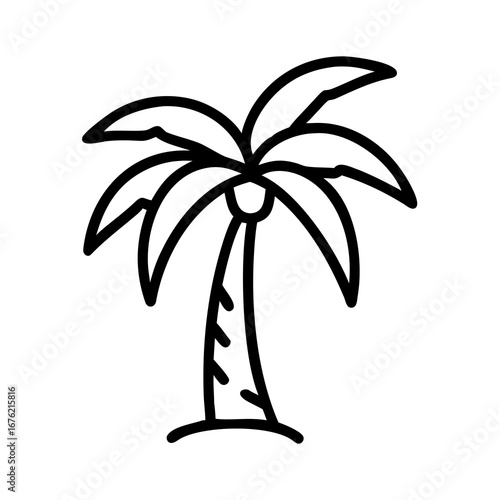 vector illustration of a palm tree