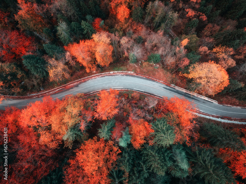 Aerial view of wet curvy ro...