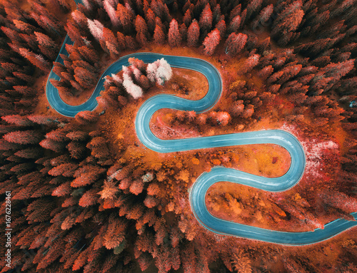 Aerial view of mountain curvy road and red forest in autumn. Dolomites, Italy. Top view of winding road on mountain pass, orange trees in fall. Snake road in the woods. Colorful landscape with road