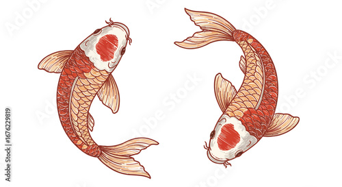 Elegant koi fish in circular motion with intricate detail and rich colors