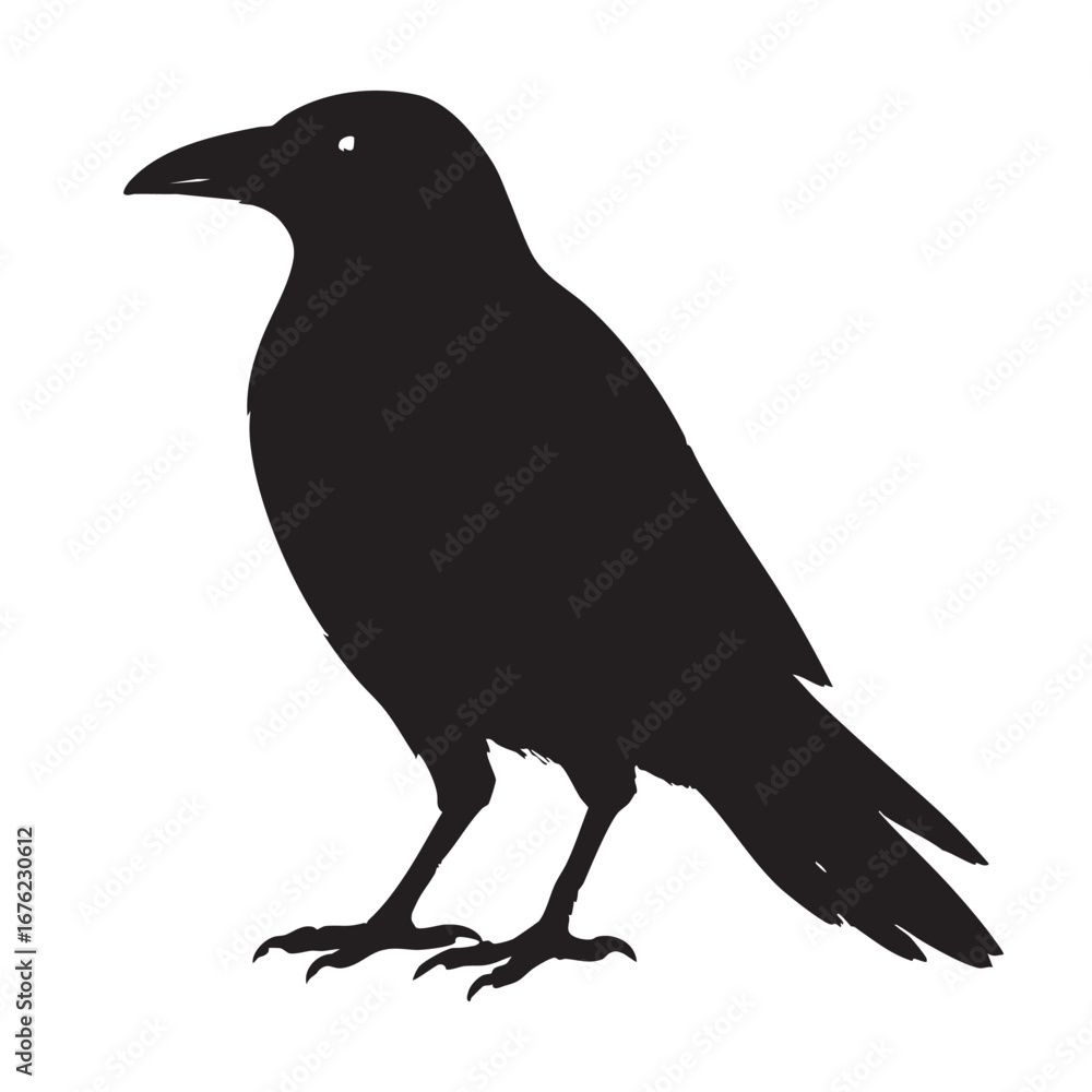 Fototapeta premium A striking silhouette of a black crow perched elegantly against a clean white background