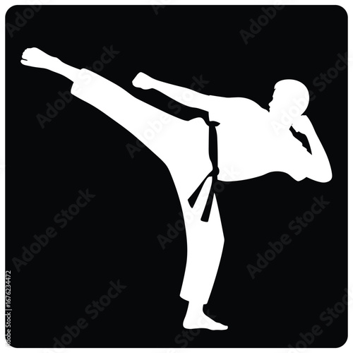 Martial arts silhouette of a person performing a high side kick
