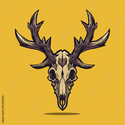 Detailed deer skull illustration with antlers
