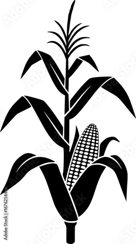 Corn stalk svg, Corn stalk silhouette, Corn tree svg, Corn tree silhouette, Corn svg, Corn silhouette, Corn stalk vector.