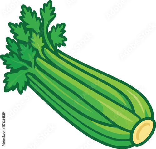 Fresh Green Celery Stalk with Leaves Illustration vegetable