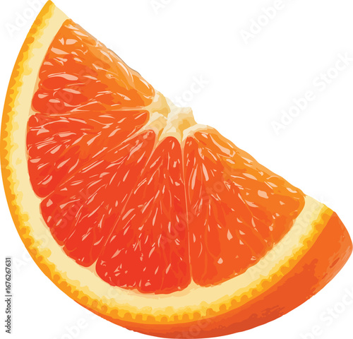 Juicy Orange Slice Segment Bright Red Yellow Citrus Fruit