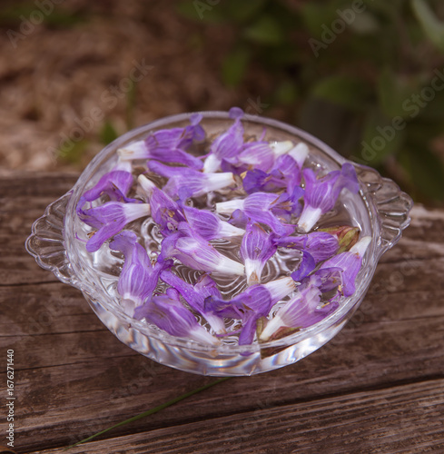 Making sage flower essence in bowl of water