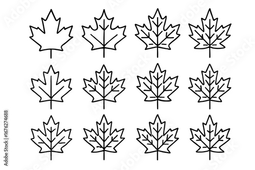 Twelve maple leaf outlines repeated pattern in black and white