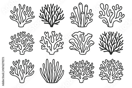 Variety of coral icons: diverse marine designs for ocean-themed illustrations