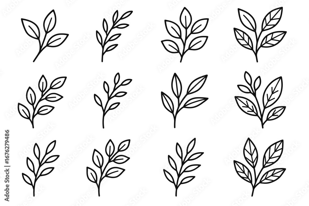 Fototapeta premium Collection of hand-drawn botanical leaf illustrations in various designs