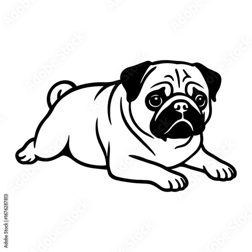Pug Laying Down