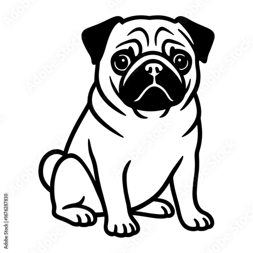 Pug Sitting