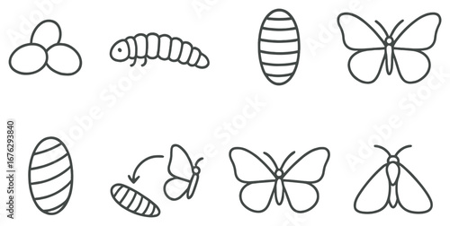 Life cycle of butterfly linear icon set. featuring eggs, caterpillar, chrysalis, butterfly transformation