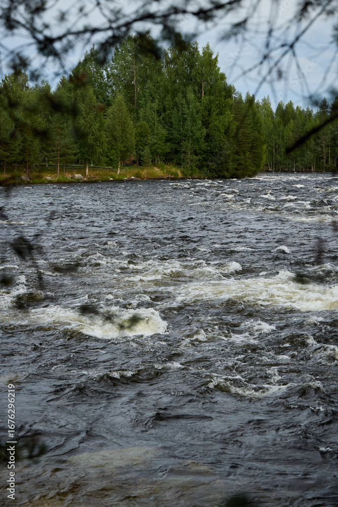 Obraz premium A Serene River Gently Flows Through a Beautifully Lush Forested Landscape, Inviting Peace