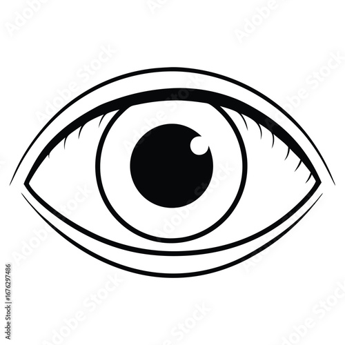 human eye anatomy detailed lens and retina