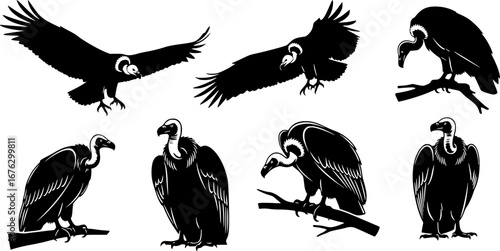 Vulture silhouette, Sitting vulture silhouette, Vulture , Clipart vulture silhouette, Vulture Vulture vector illustration collection 