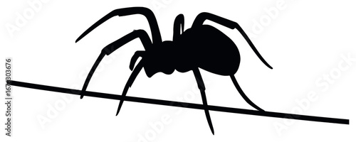 Halloween spider silhouette icon. featuring a spider on a web for spooky and dark themes