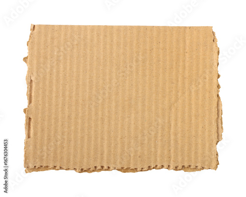 Wallpaper Mural Brown cardboard torn paper edge sheet isolated on transparent background Torontodigital.ca