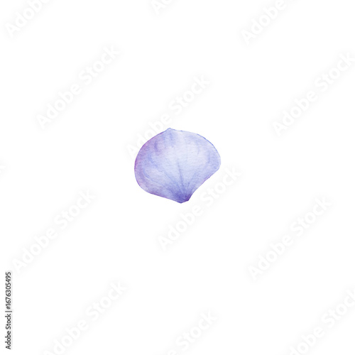 Watercolor illustration of hydrangea flower in soft lilac and blue tones. Perfect for creating patterns, greeting cards, wedding invitations or decorative elements.