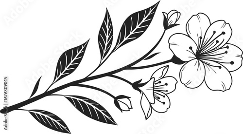 Black and White Line Art of a Cherry Blossom Branch