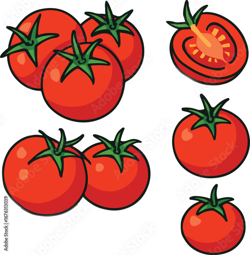 Red Tomatoes Illustration Various Sizes and Views cartoon