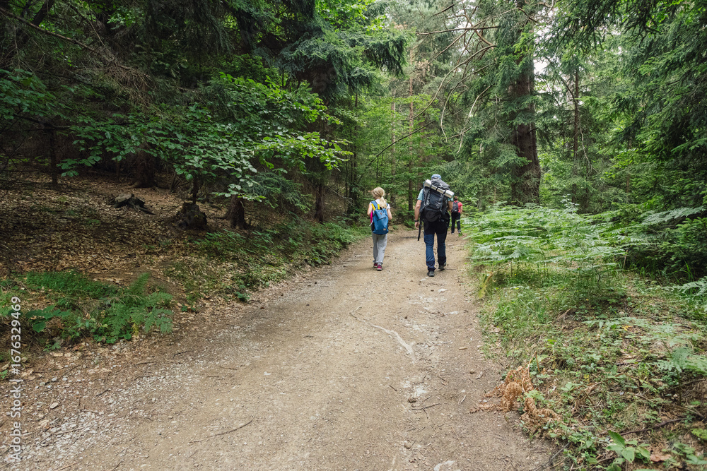 Fototapeta premium Hiking in the forest. Family with child with disability spending quality time outdoors, hiking in lush green woodland.