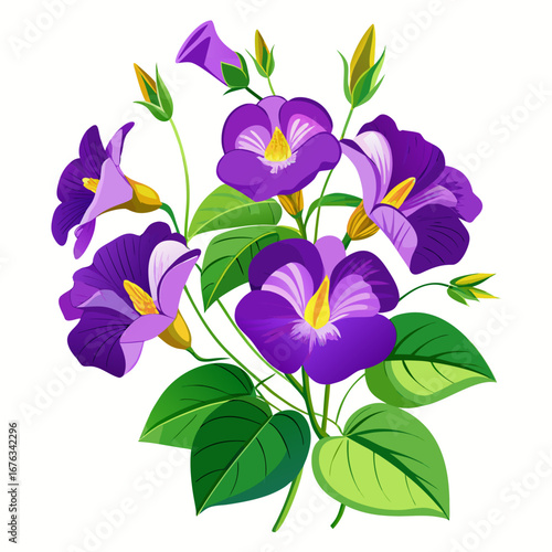 A vector illustration of a purple butterfly pea flower with green leaves, isolated on a white background