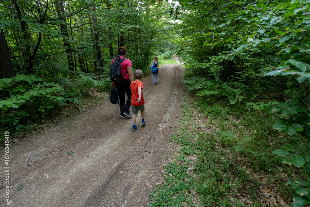 Fototapeta premium Hiking in the mountains. Family walking on forest path, authentic inclusive people. Family time in woods, parents and children hiking.