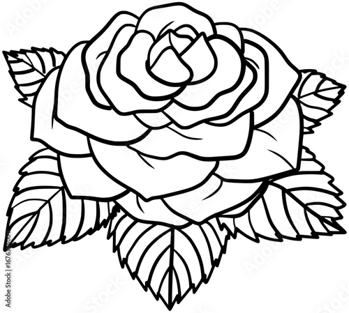 Oklahoma Rose Vector Outline Line Art Drawing