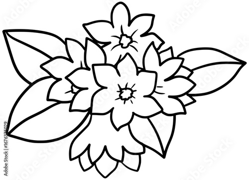 Mayflower Vector Outline Line Art Drawing