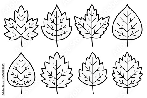 Collection of eight different stylized leaf outlines in black and white