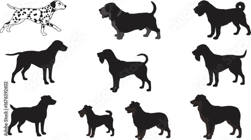 Diverse Collection of Dog Silhouettes, Including Dalmatian, Hound, Terrier, Schnauzer, Poodle, and Other Popular Dog Breeds Illustrations