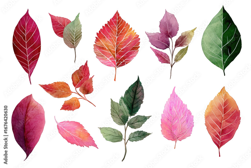 Obraz premium Autumn leaves in various shades of red, pink, and green
