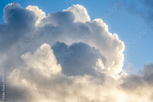 奄美大島夏の早朝の風景。積乱雲。