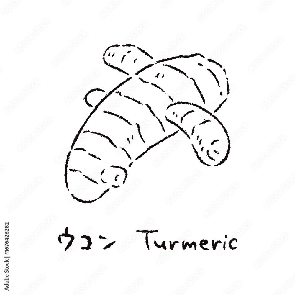 Obraz premium 手描きのウコン2_名称入_白黒