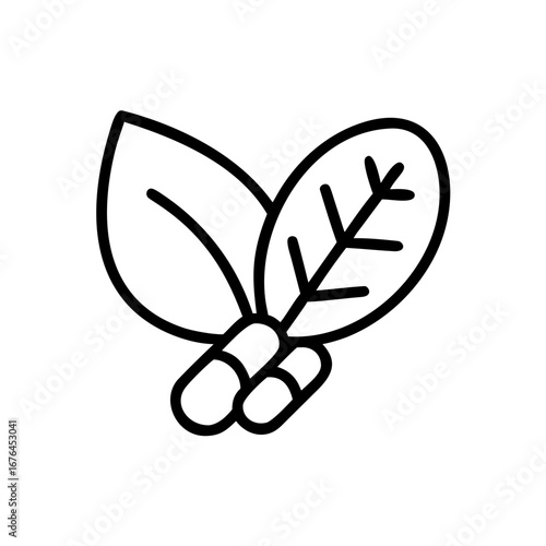 Outline illustration of two leaves and two pills representing herbal medicine and natural supplements concept