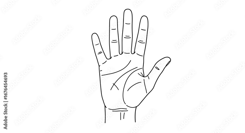 Obraz premium Hand Line Sketch: Detailed sketch of an open palm revealing lines, indicative of palmistry and fortune-telling. This simple graphic, executed with careful linework, hints at the secrets held within.
