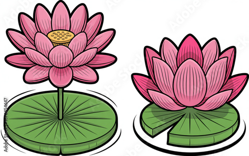 Two beautiful pink lotus flowers blooming on lily pads in serene water