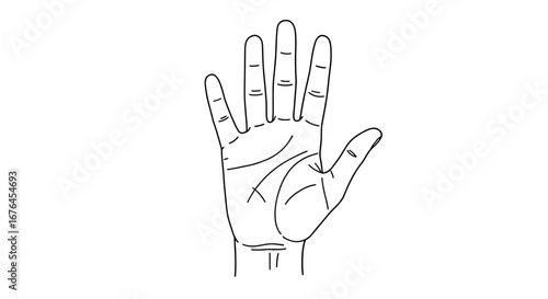 Hand Line Sketch: Detailed sketch of an open palm revealing lines, indicative of palmistry and fortune-telling. This simple graphic, executed with careful linework, hints at the secrets held within.