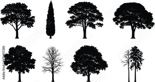 Tree silhouette collection, black vector trees, nature illustration, seasonal forest design, eco artwork, outdoor landscape, woodland background, natural decorative elements