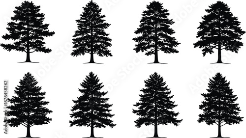 Pine tree silhouette collection, evergreen forest design, fir tree vector, nature illustration, woodland symbol, black tree artwork, outdoor eco concept