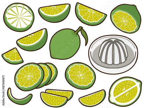 Illustration of limes, including whole, sliced, and juiced, with a juicer, all in a cartoon style.