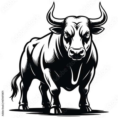 black and white bull