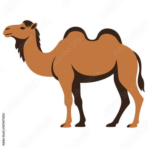 camel cartoon vector