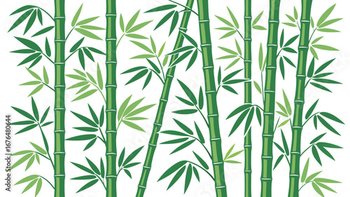 Lush green bamboo stalks present a soothing, serene on a pure white backdrop