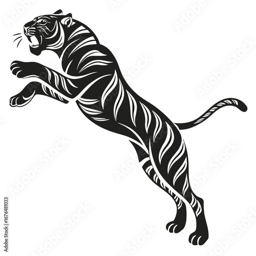 zebra vector illustration