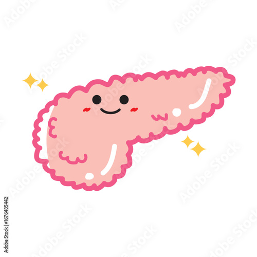 人の臓器キャラクター　健康な膵臓